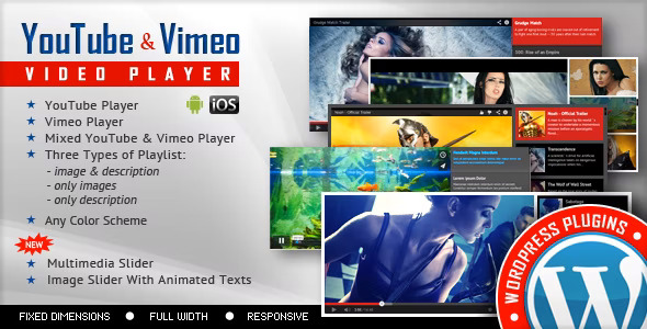 Youtube Vimeo Video Player and Slider WP Plugin